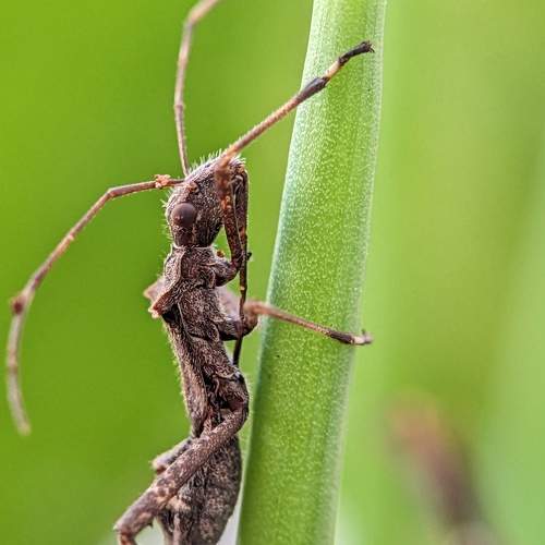 Photo #8606661