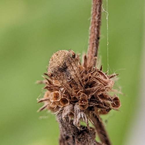 Photo #8606795