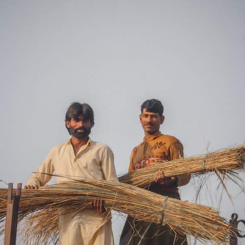 People at work