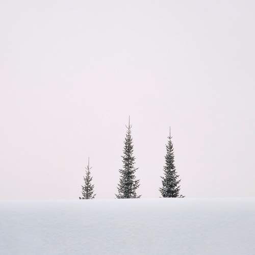 Photo #8607328