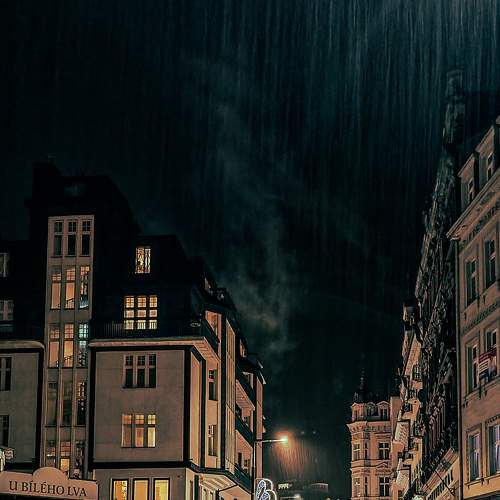 Photo #8607483