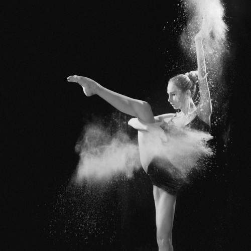 Photo #8607579