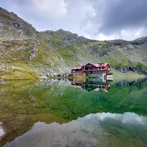 Photo #8607620