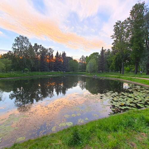 Photo #8607687
