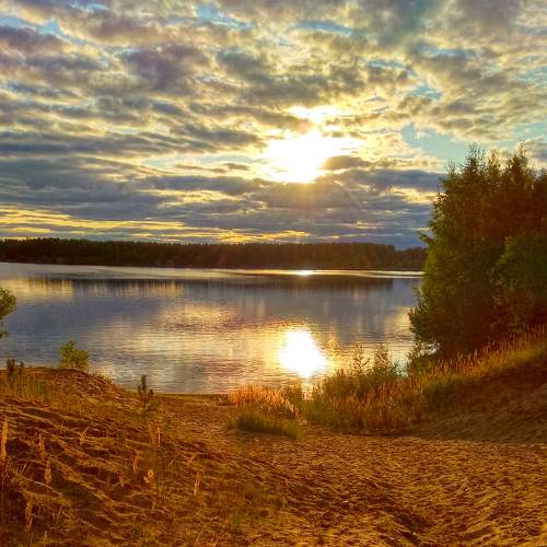 Photo #8607689