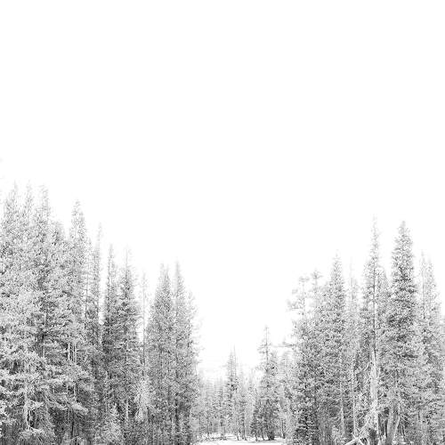Photo #8607923