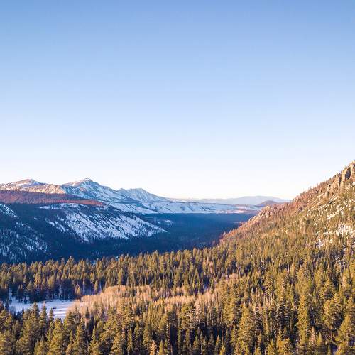Photo #8607940