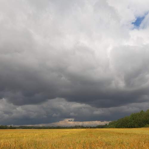 Photo #8608202