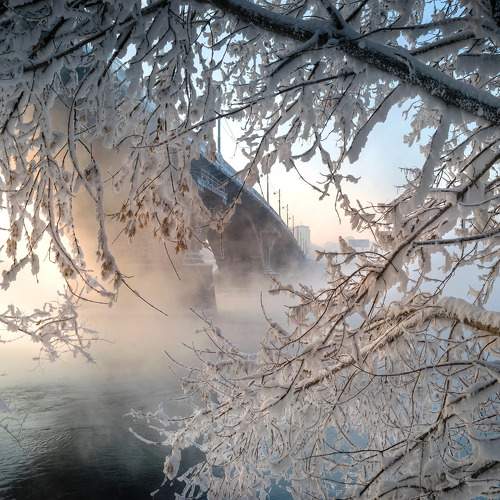 Photo #8608584