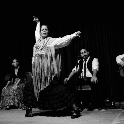 Flamenco Show, Barcelona, 2022