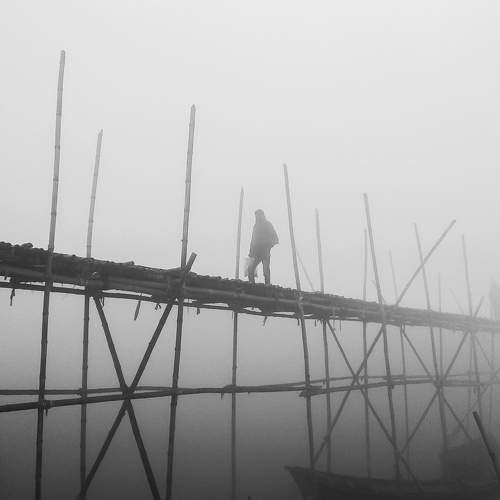 Photo #8608656