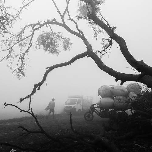 Photo #8608733