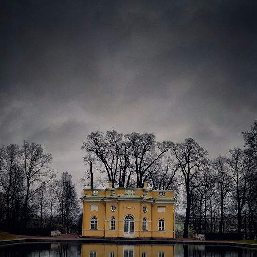 Photo #8608813