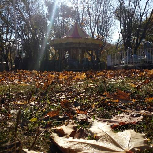 Photo #8609015