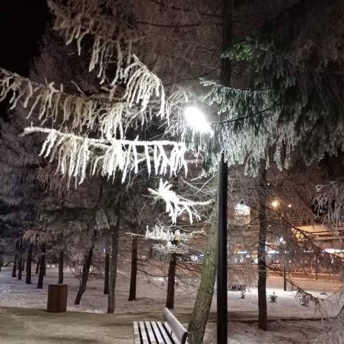 Photo #8609092