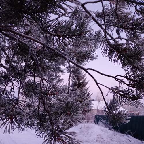 Photo #8609093