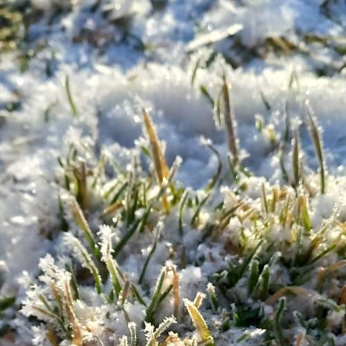 Photo #8609113