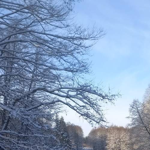 Photo #8609171