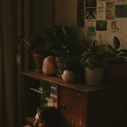 Photo #8609392