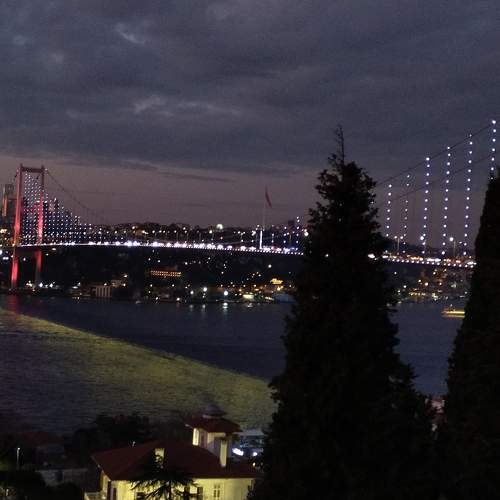 Photo #8609481