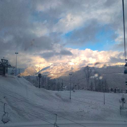 Photo #8609520