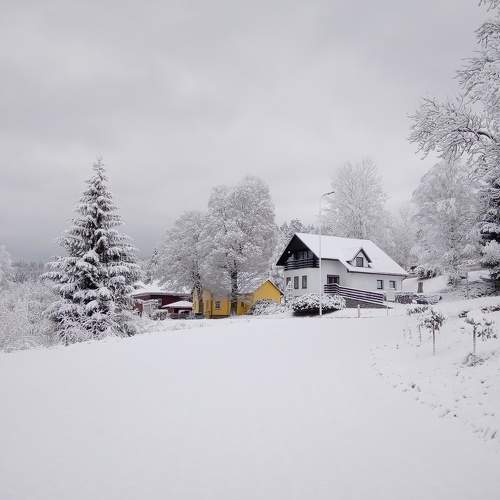 Photo #8609653