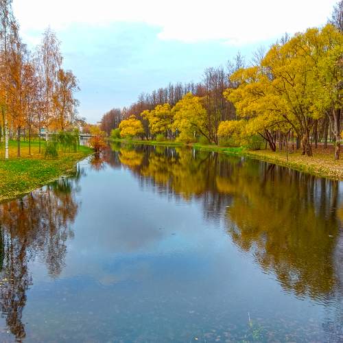 Photo #8610345