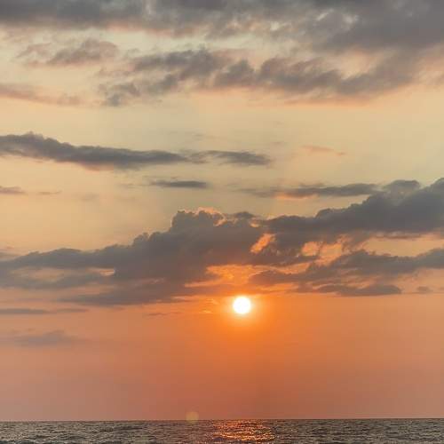 Photo #8610430