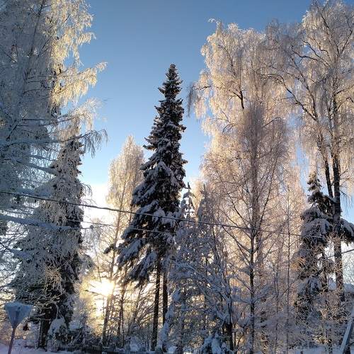 Photo #8610827
