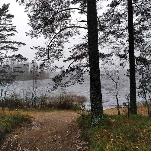 Photo #8610930