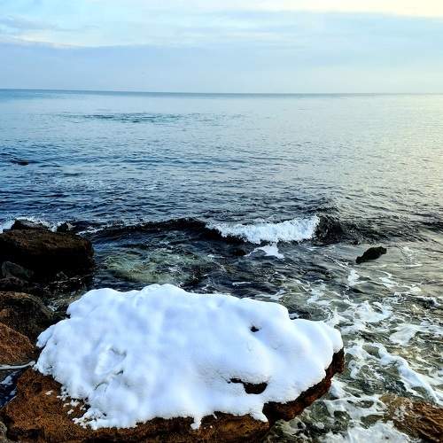 Photo #8611009