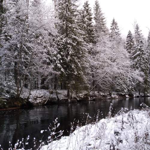Photo #8611089