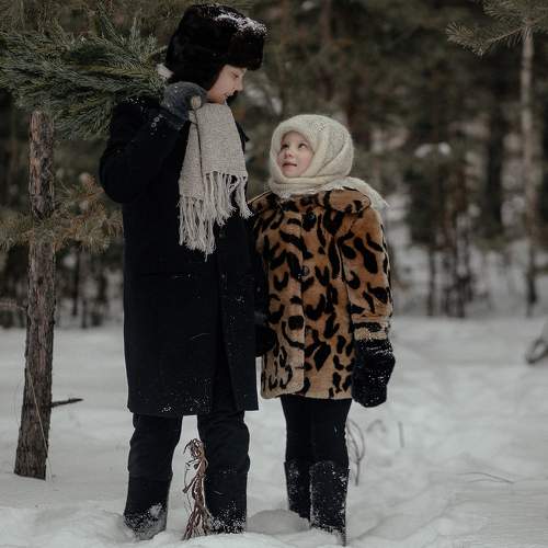 Photo #8611335