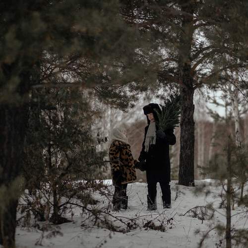 Photo #8611338