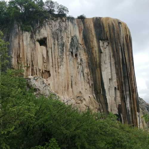 Photo #8611844