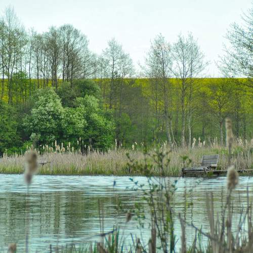 Photo #8611980