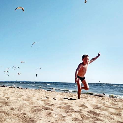 Photo #8612074