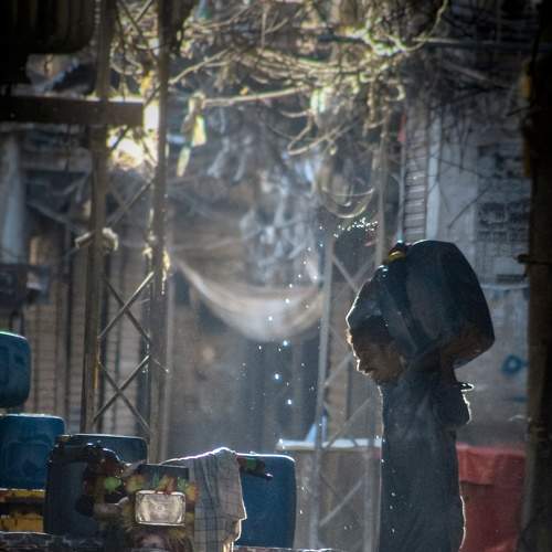 Photo #8612290