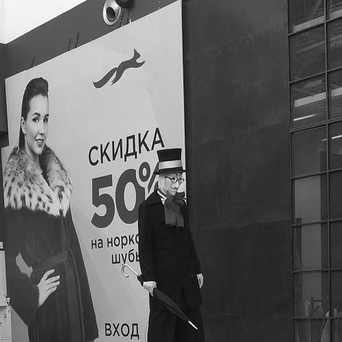 Photo #8612537
