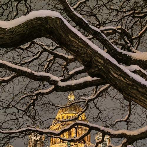 Photo #8612622