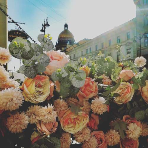 Photo #8612631