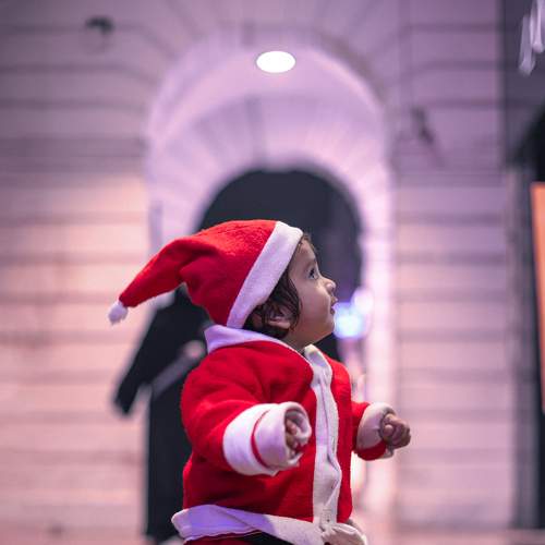 Photo #8612886