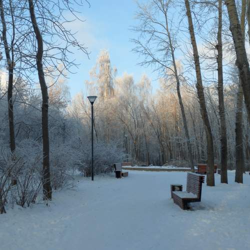 Photo #8612906