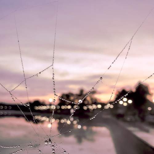 Photo #8613665