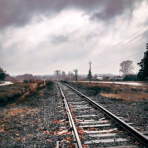 Photo #8613666