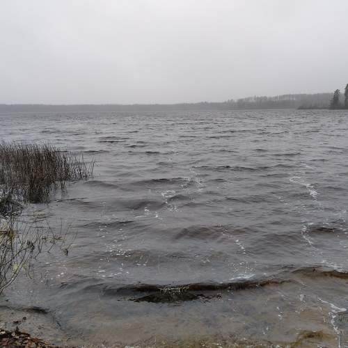 Photo #8613739