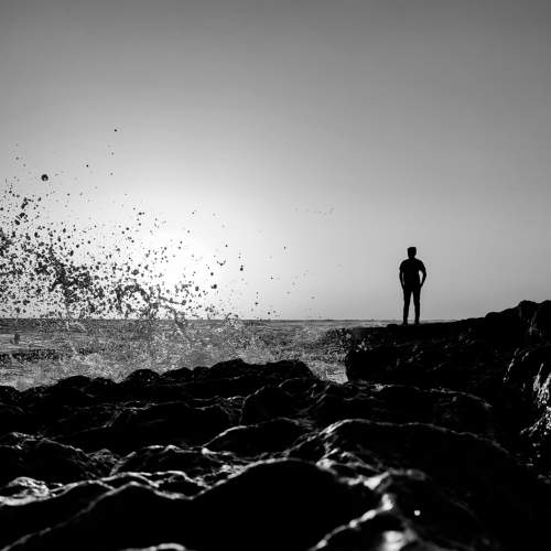 Photo #8614805