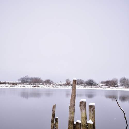 Photo #8614960