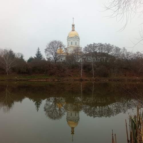 Photo #8615561