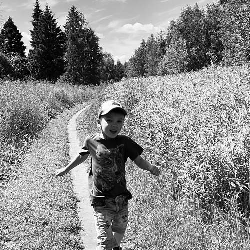 Photo #8615941